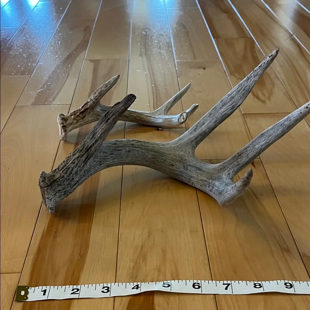 Rustic Antler tray Decor